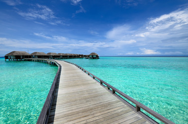 Similar image 2113884