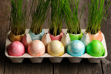 Similar image 2113989