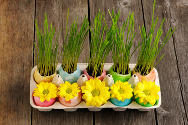 Similar image 2113994