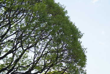 Similar image 2114293