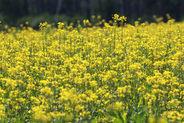 Similar image 2114722