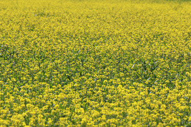 Similar image 2114724