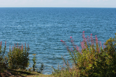 Similar image 2114755