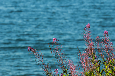 Similar image 2114757