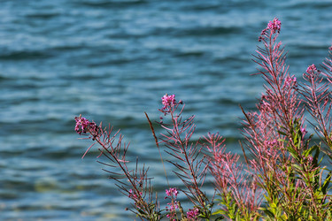 Similar image 2114762