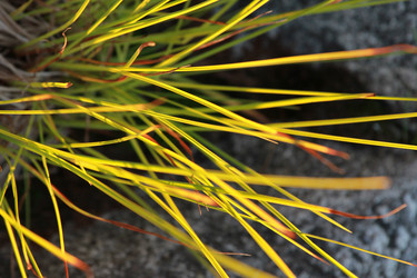 Similar image 2114791