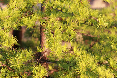 Similar image 2114793