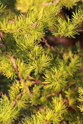 Similar image 2114795