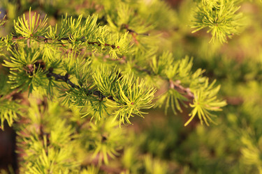 Similar image 2114797