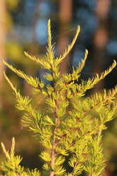 Similar image 2114800