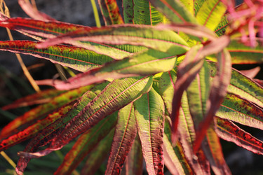 Similar image 2114803