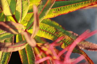 Similar image 2114805