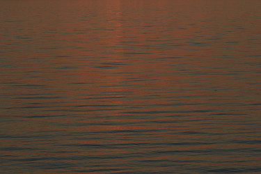 Similar image 2114856