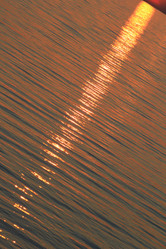 Similar image 2114864