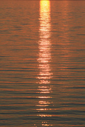 Similar image 2114879