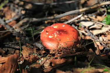 Similar image 2114894