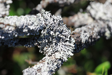 Similar image 2114895