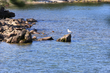 Similar image 2114896