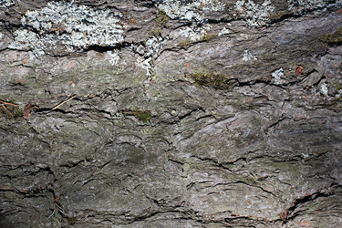 Similar image 2114898