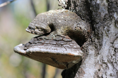 Similar image 2114900