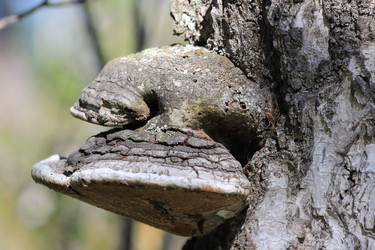 Similar image 2114902