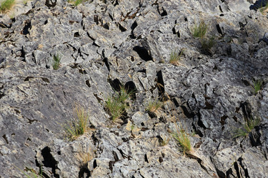 Similar image 2114906