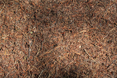 Similar image 2114908