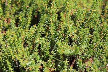 Similar image 2114913