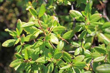 Similar image 2114924