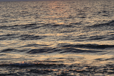 Similar image 2114944