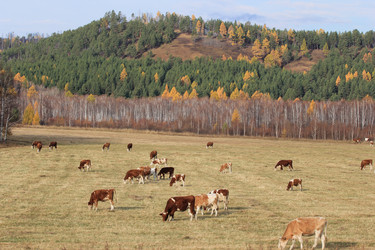 Similar image 2114950