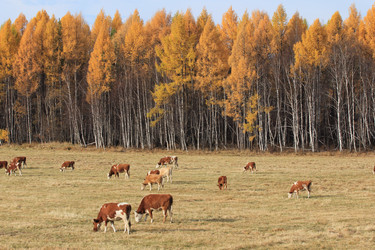 Similar image 2114952