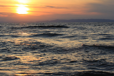 Similar image 2114954