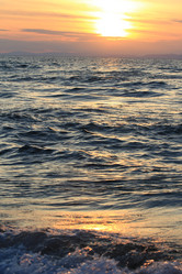 Similar image 2114955