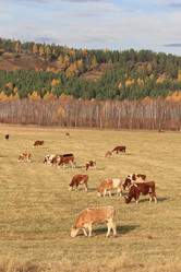 Similar image 2114977