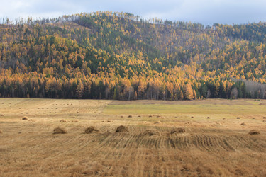 Similar image 2115003