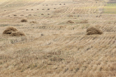 Similar image 2115006