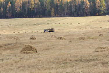 Similar image 2115007