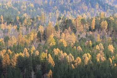 Similar image 2115010