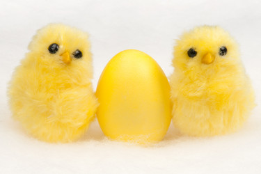 Similar image 2115079