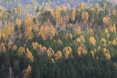 Similar image 2115091