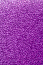 Similar image 2115144