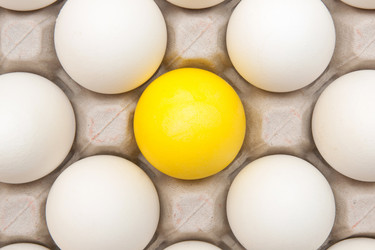 Similar image 2115150