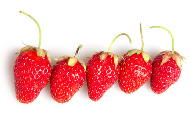 Similar image 2115152