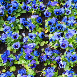 Similar image 2115157