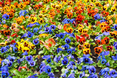 Similar image 2115158