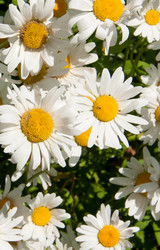 Similar image 2115165