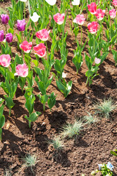 Similar image 2115204