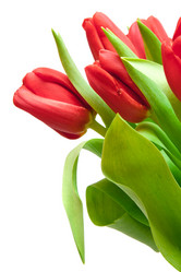 Similar image 2115206