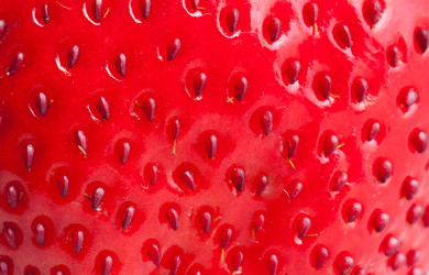 Similar image 2115207